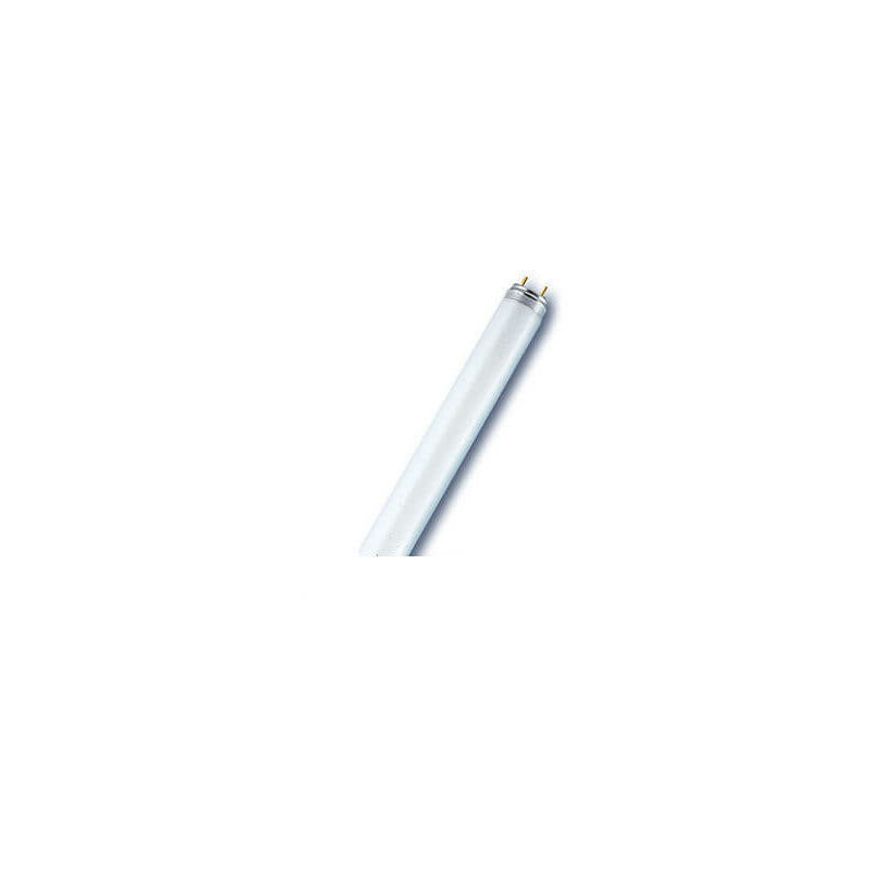 foto del prodotto lampada neon fluor.te d.26 18w cm.60 luce fredda