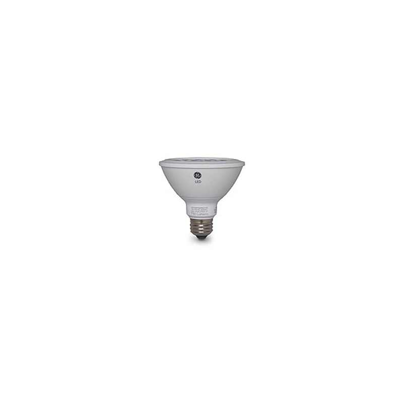 foto del prodotto lampada spot led par38 15w