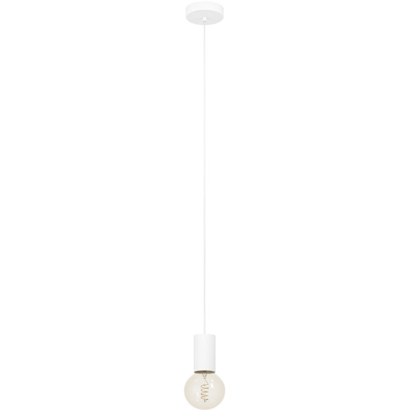 foto del prodotto lampadario a sospensione contemporaneo pozueta 1 acciaio bianco 1 luce e27