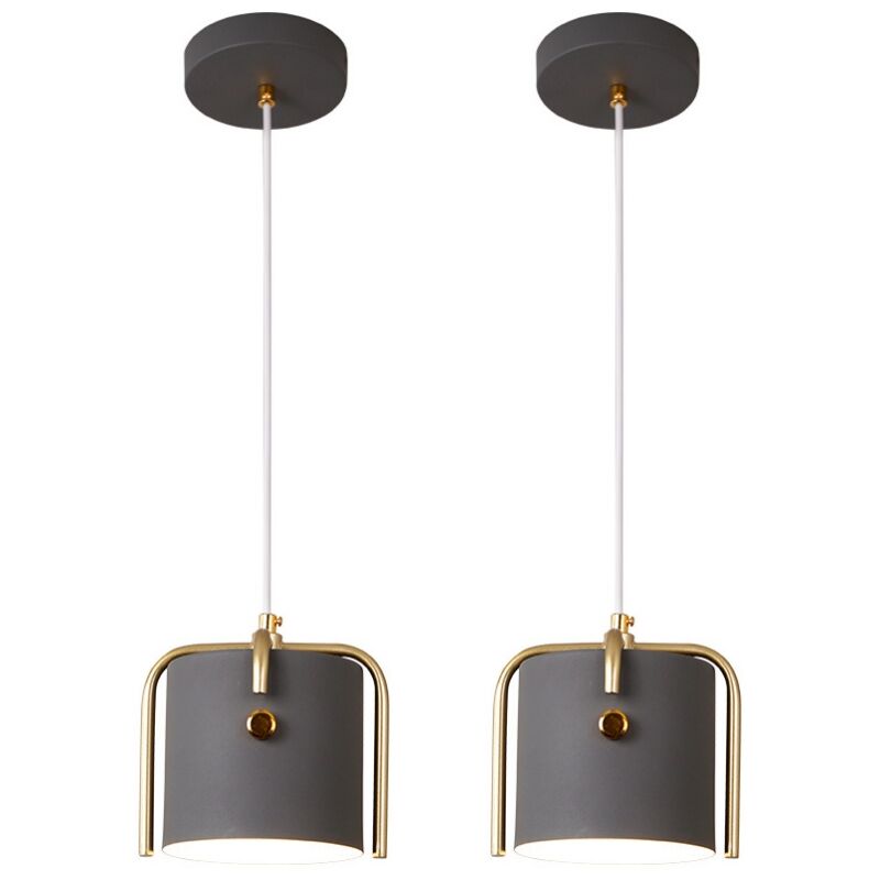 foto del prodotto lampadario a sospensione vintage industrial lampada da soffitto metallo plafoniera regolabile grigio 2 pezzi