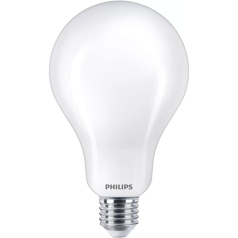 foto del prodotto lampadina de filamento opaco 200 w a95 e27 - philips