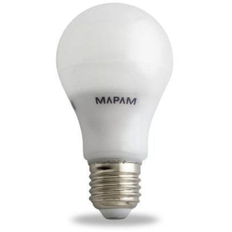 foto del prodotto lampadina led attacco e27 bulbo a55 7w globo luce fredda 6500k alta qualit 00067 trade shop traesio