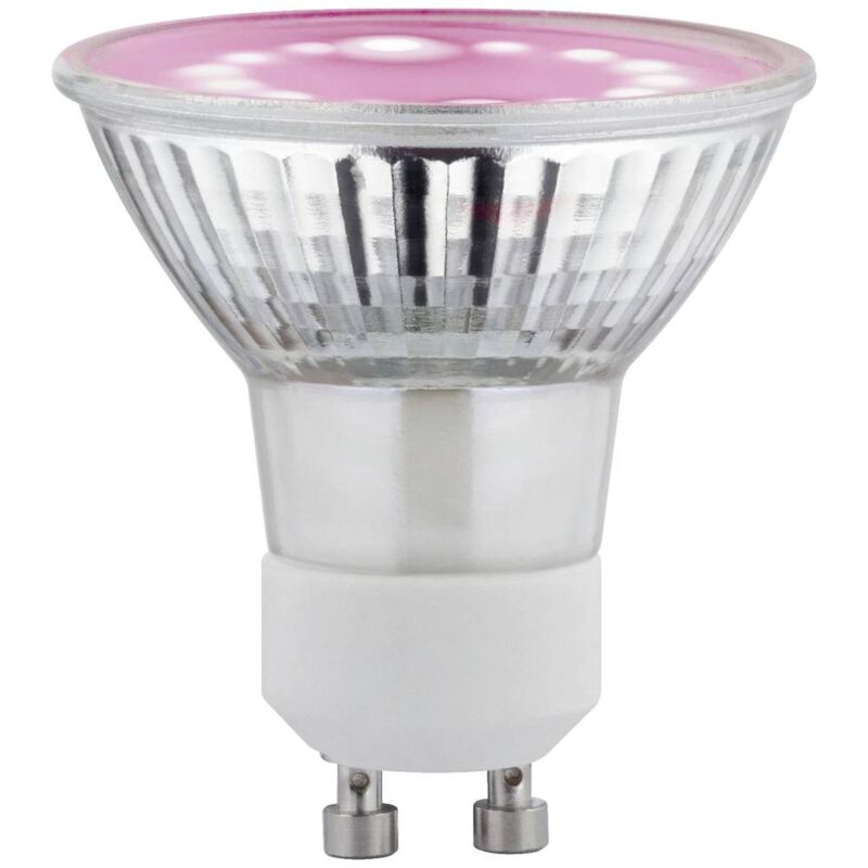foto del prodotto lampadina led per crescita piante 230 v gu10 3.5 w ambra 1 pz. paulmann