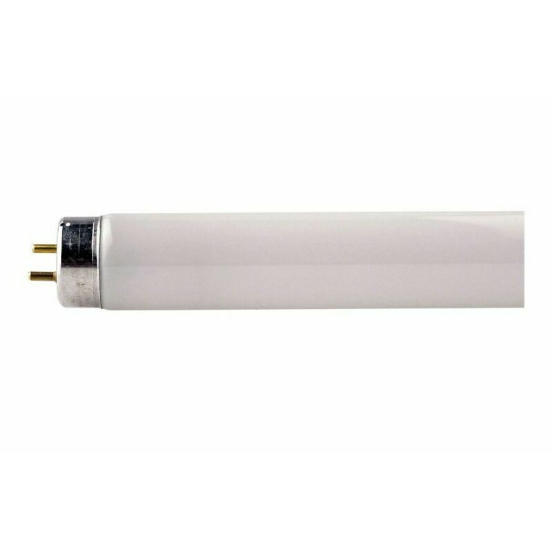 foto del prodotto lampadina philips 718433 tl mini 8w t5 410lm