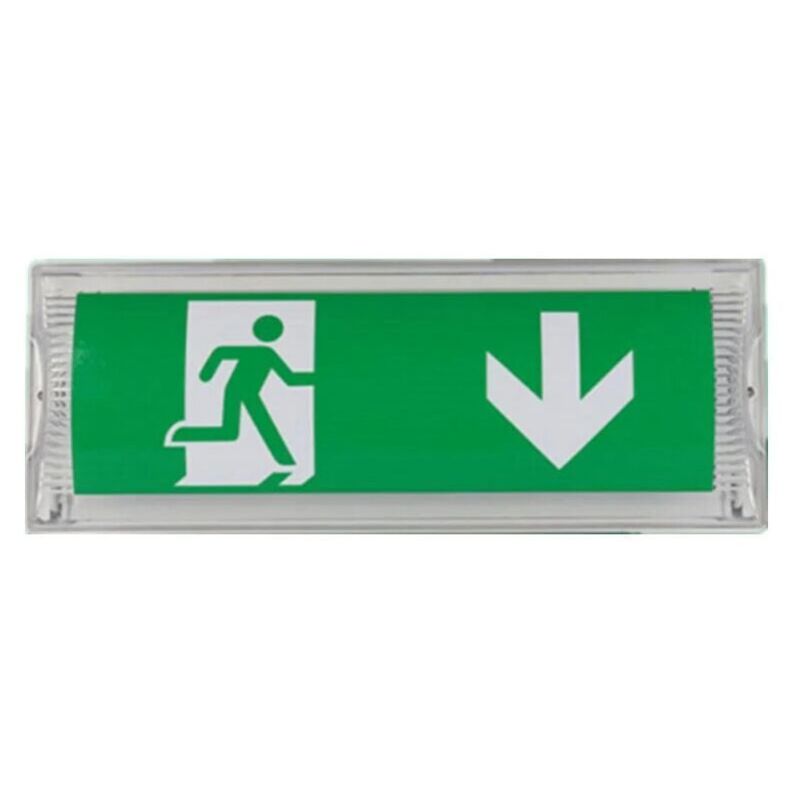 foto del prodotto lampe d clairage de secours led, avec batterie de secours jusqu 3 heures, classe de protection ip 65, panneau d indication de sortie urgence,