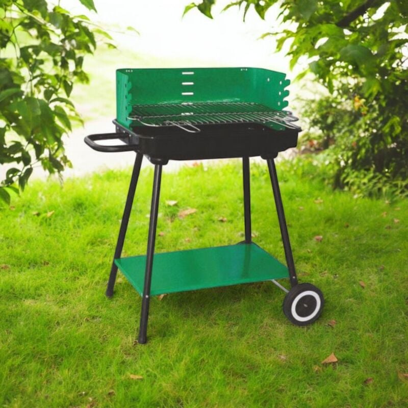 foto del prodotto lapillo barbecue rettangolare con ruote griglia regolabile quattro posizioni acciaio cromo altezza cottura 68 cm cappa paravento raichte