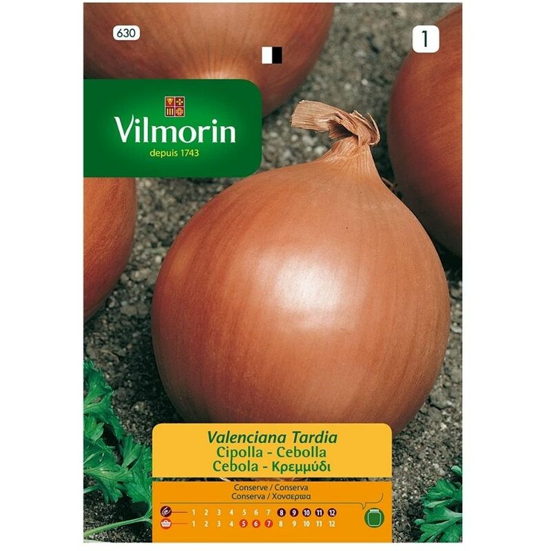 foto del prodotto late valencian onion seeds, rif 630, oltre 5 gr vilmorin