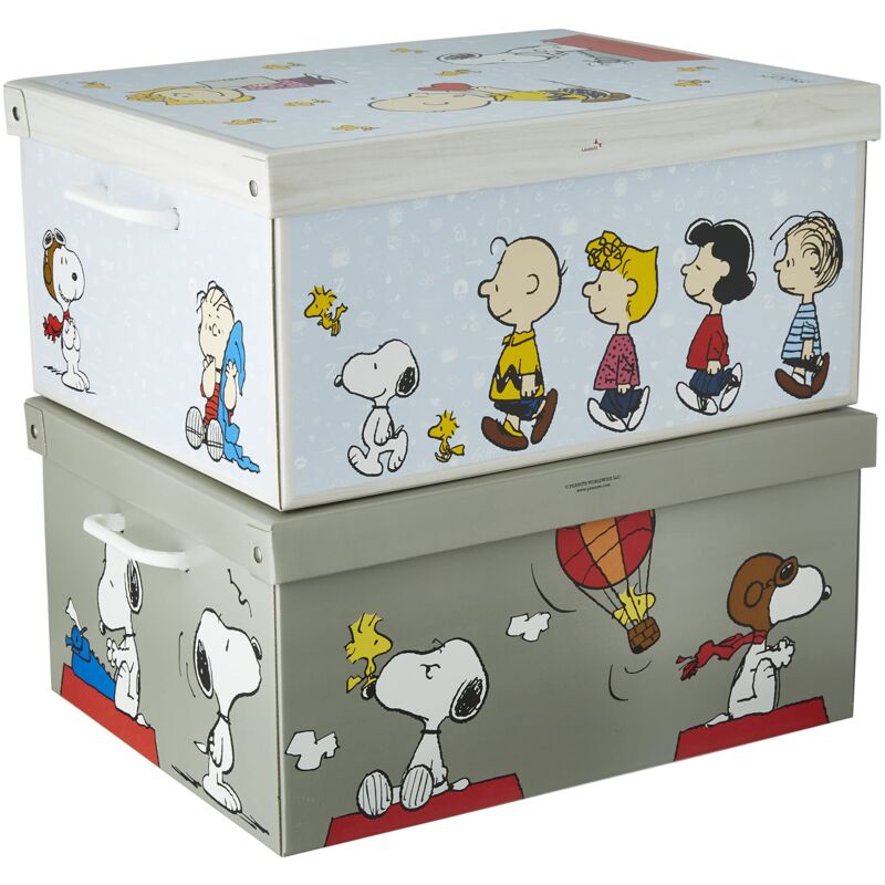 foto del prodotto lavatelli set 2 pezzi scatole armadio in cartone, scatole per vestiti e biancheria, per cambio stagione, snoopy mix 49x40xh24 cm