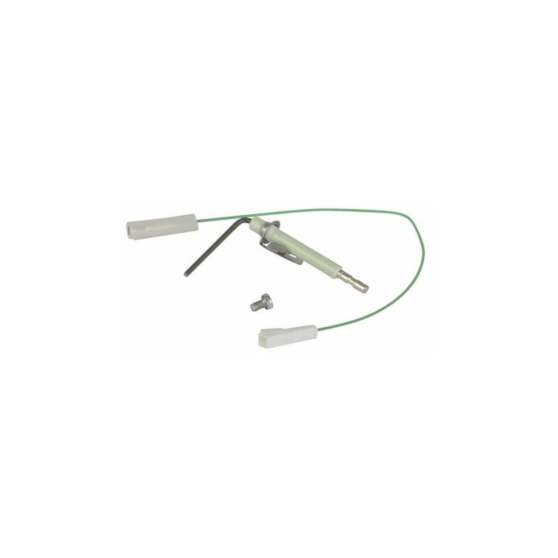 foto del prodotto lectrode d 039ionisation elm leblanc 87160116510