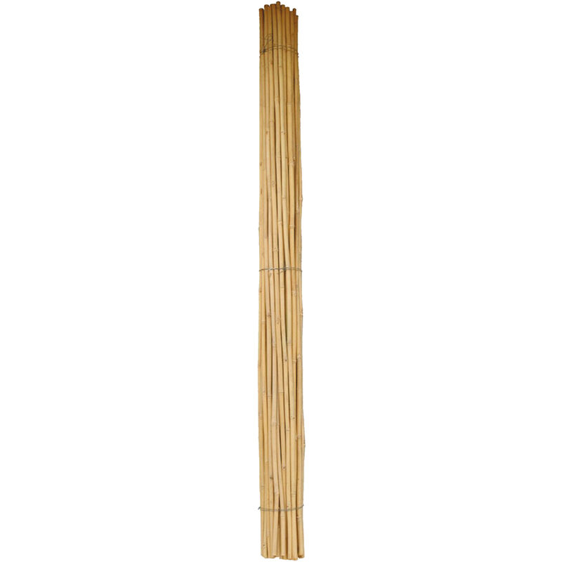 foto del prodotto led leds canna bamboo 28 30 mm. circa h. mt 2,1