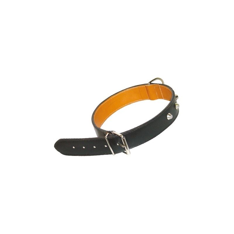 foto del prodotto led leds collari collare in cuoio naturale borchiato per cani mm.40x75