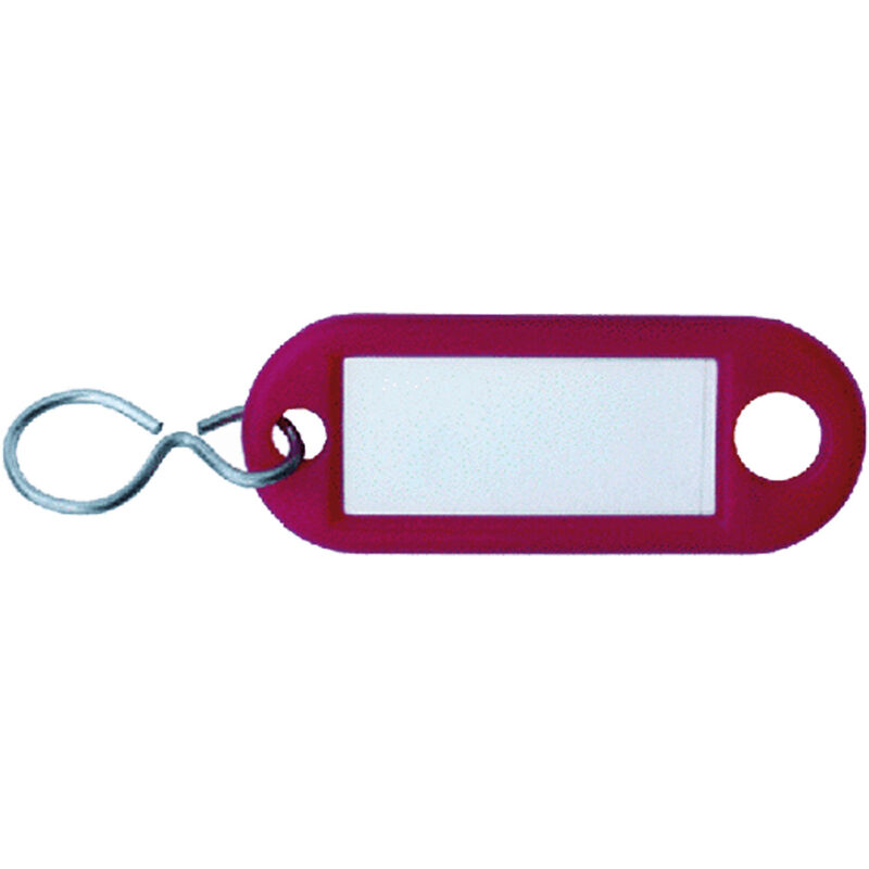 immagine 0 del prodotto led leds targhetta portachiavi con gancio s cf. 100 pz