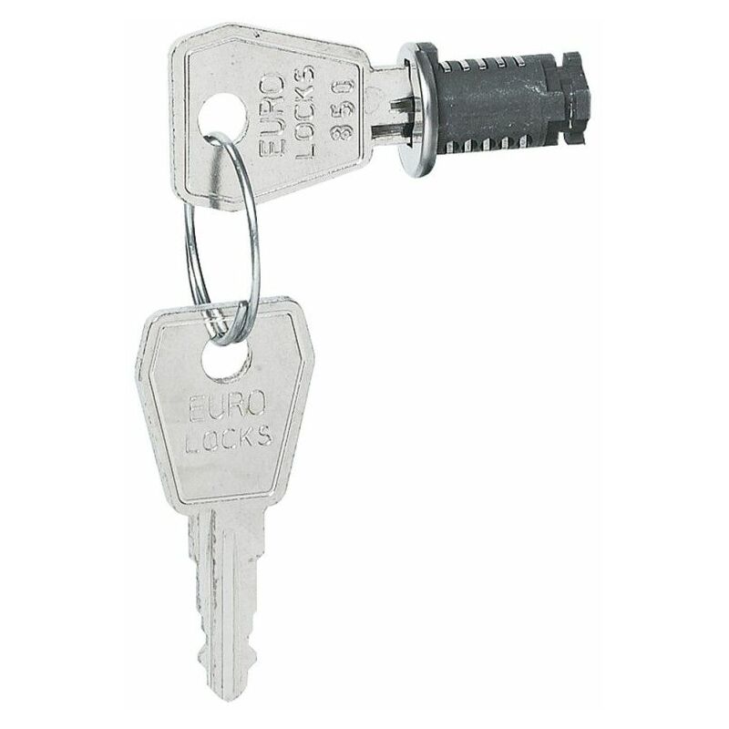 foto del prodotto legrand serratura con chiave n. 850 per scatole in plexo 001966