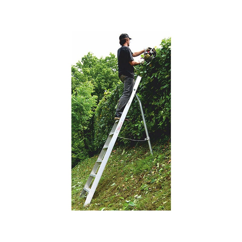foto del prodotto leiter experten scala agricola a 8 pioli con punta lunghezza 3.75m sca1969 08 sccsto