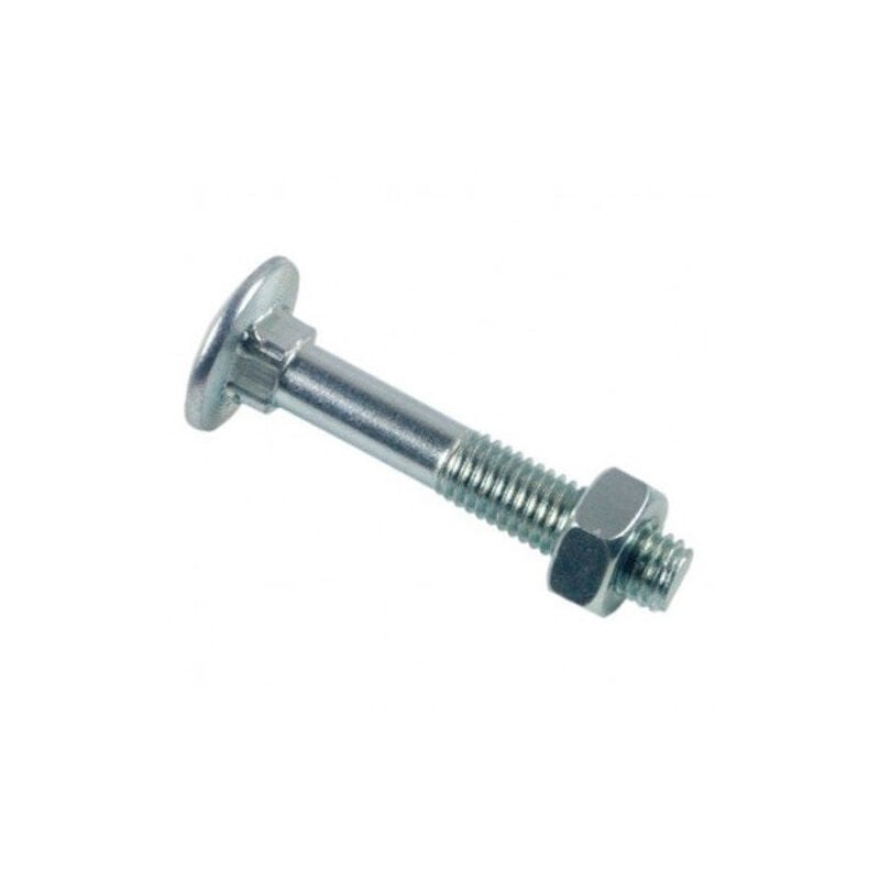 foto del prodotto lennie bullone testa tonda collo quadro trcc zincato bianco 6x70 scatola da 100 btrcc0607002b
