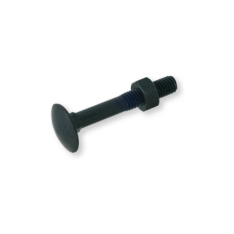 foto del prodotto lennie bullone testa tonda collo quadro trcc zincato nero 7x70 scatola da 100 btrcc0707006b