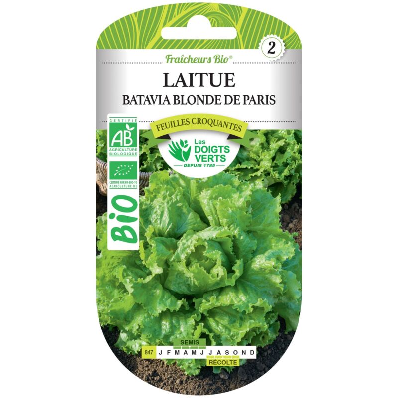 foto del prodotto les doigts verts semi di lattuga batavia bionda di parigi bio i dita verdi