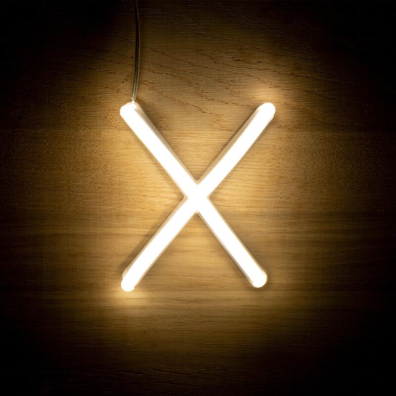 foto del prodotto lettere led neon x