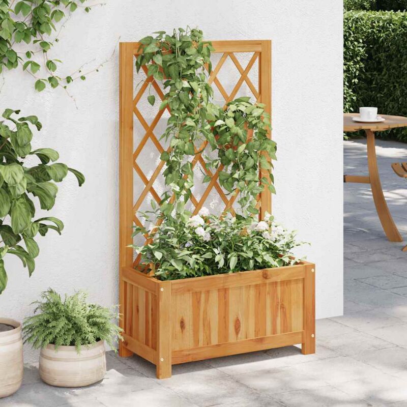 foto del prodotto letto rialzato da giardino con graticcio in massello di acacia vidaxl