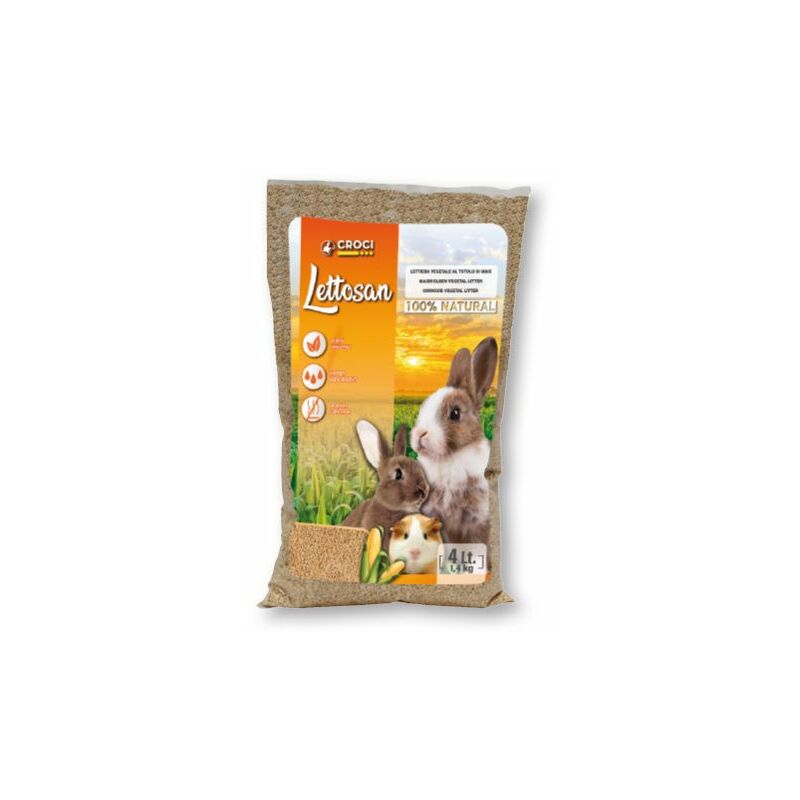 foto del prodotto lettosan 4lt croci