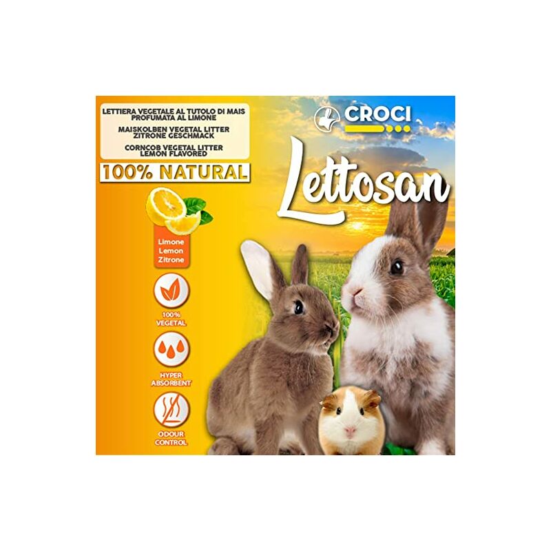 foto del prodotto lettosan al limone 10 lt croci