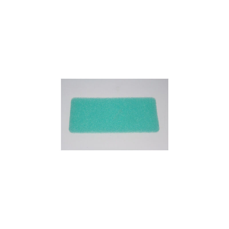 foto del prodotto lg filtro schiuma verde robot aspirapolveri autonomi 89827