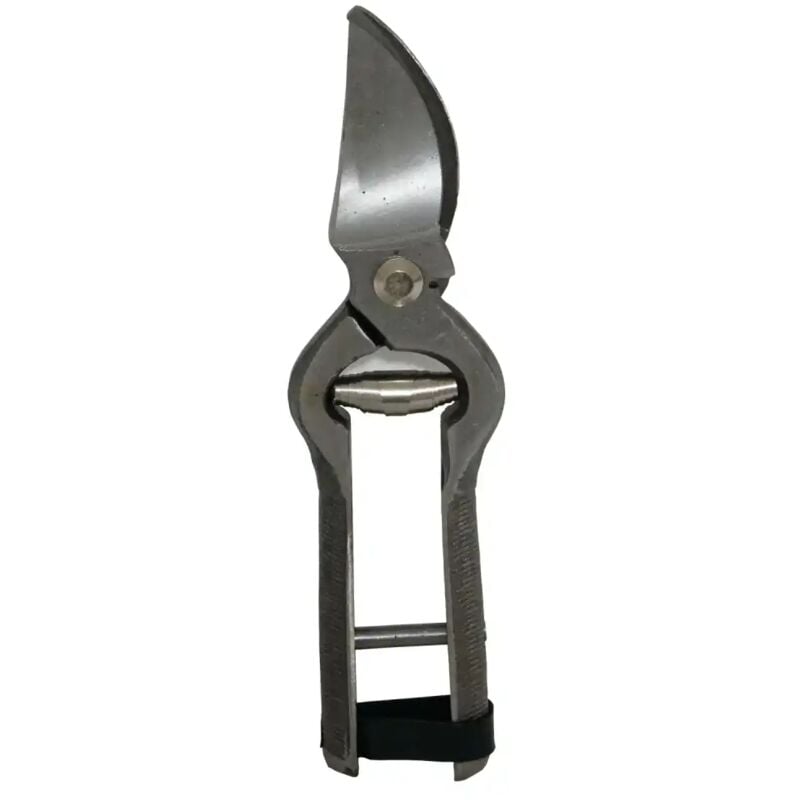 foto del prodotto lgvshopping cesoia professionale forbice per pota potatura in acciaio 18cm con chiusura