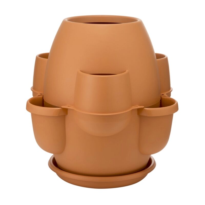 foto del prodotto lgvshopping vaso oasi cotto chiaro