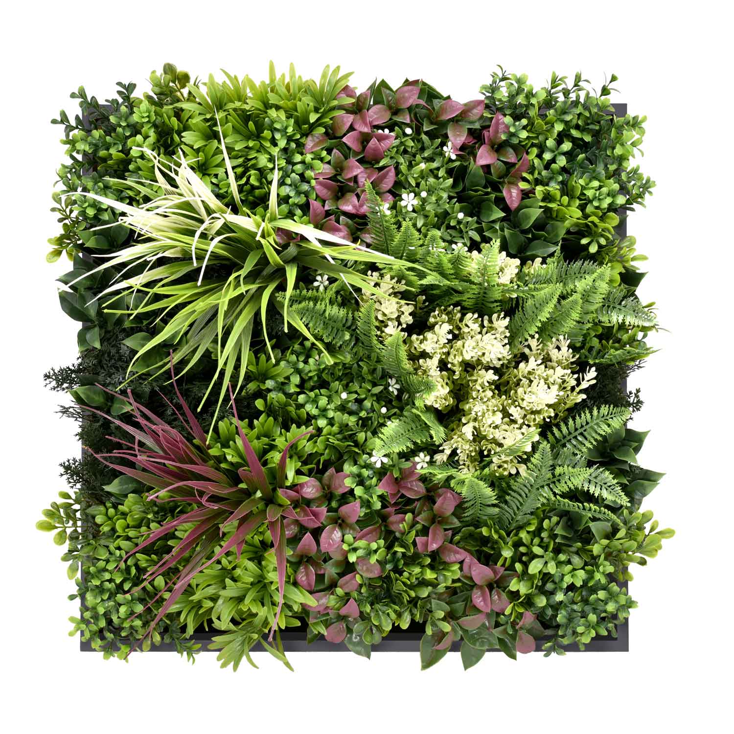 foto del prodotto liana quadro vegetale con foglie e fiori, cornice nera in pvc, 50x50 cm