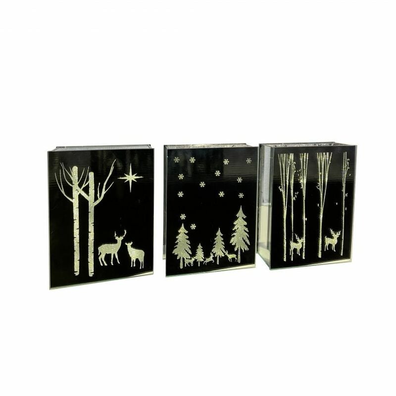 foto del prodotto libro vetro mirror c decori h.21 cm c luce led a batterie prezzo cad uno