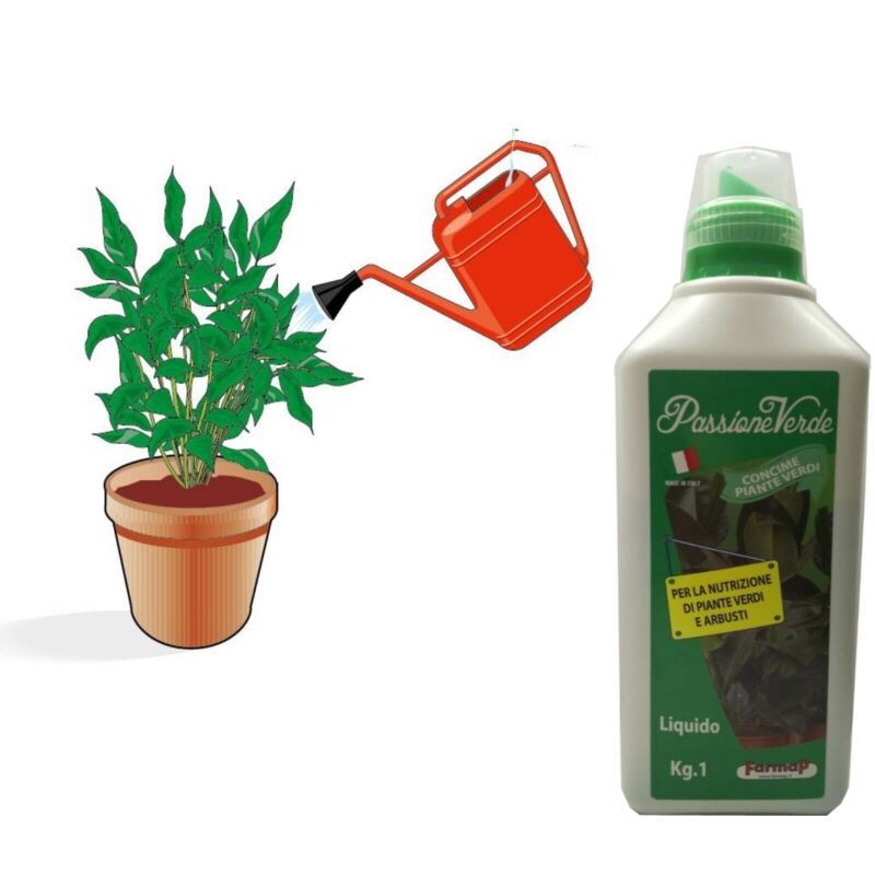 foto del prodotto lif concime liquido universale nutrimento per piante verdi giardinaggio lt1 axel