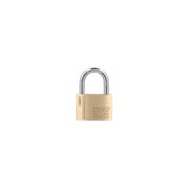 foto del prodotto linea professional 03101520 ottone normale 50 mm. serie target. arco temprato, arco temprato, bagagli, armadietti, serratura, multicolore, singolo