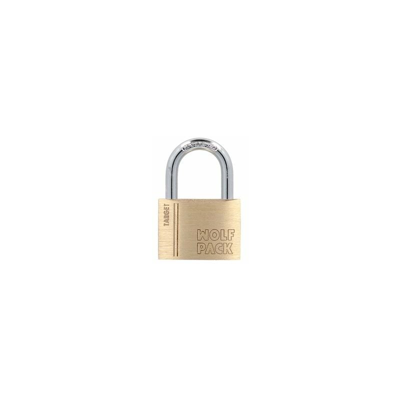 foto del prodotto linea professional 03101525 ottone normale 60 mm. serie target. arco temprato, arco temprato, bagagli, armadietti, serratura, multicolore, singolo