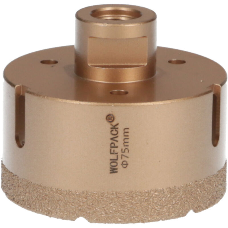 foto del prodotto linea professional corona diamantata per smerigliatrice 75 mm. attacco filettato m14. taglio dry wolfpack