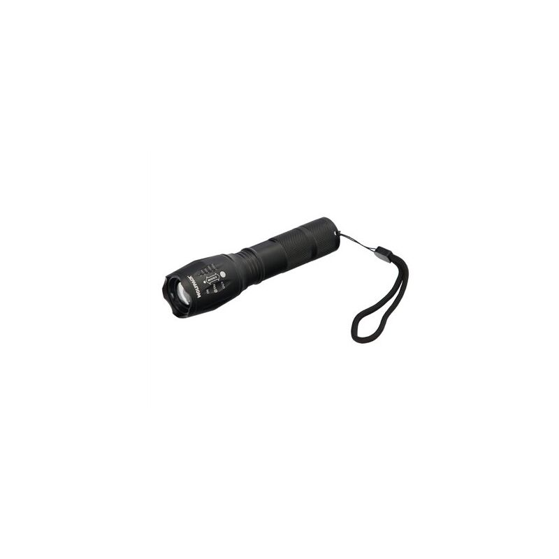 foto del prodotto linea professional flashlight led de hand held aluminium battery powered 3 aaa 300 lumen 5 watt. con zoom. wolfpack