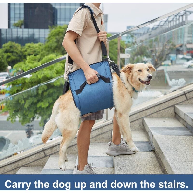 foto del prodotto linjou 2xl, blu imbracatura per cani, zaino di emergenza per animali domestici, imbracatura di sollevamento per cani per il taglio delle unghie per