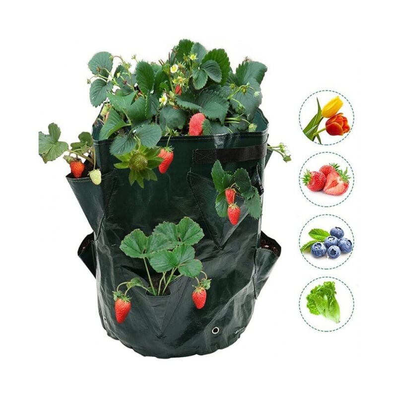 foto del prodotto linjou borsa per fragole da 2 pezzi borsa per piantare fragole contenitori per fioriere