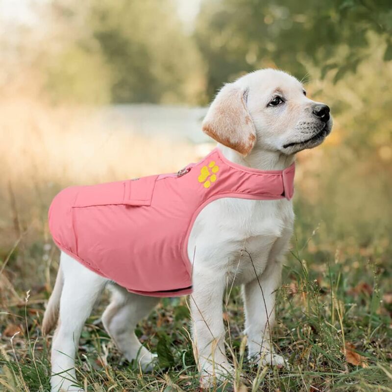 foto del prodotto linjou cappotto impermeabile rosa m per cani, giacca antivento reversibile per cani, gilet caldo, giacca per escursioni all aperto per cani