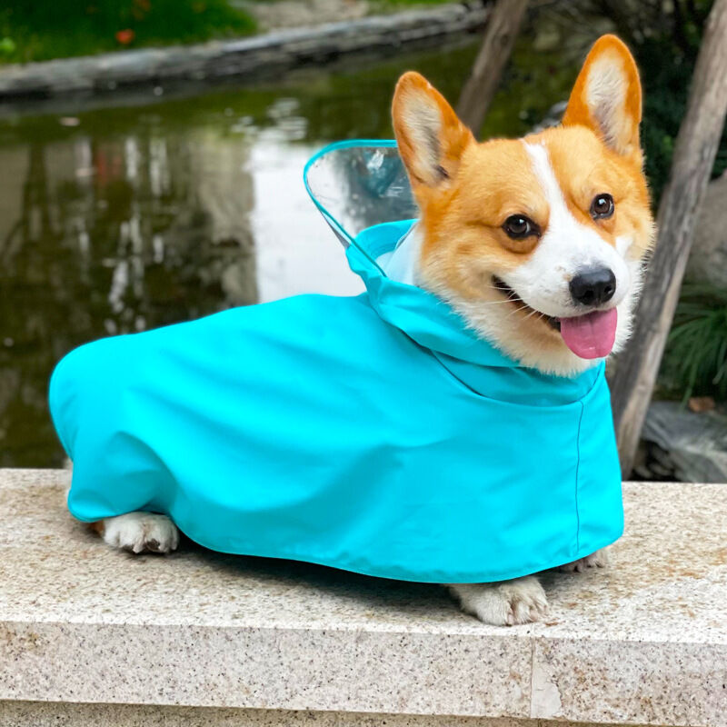 foto del prodotto linjou maschera facciale trasparente impermeabile con cappuccio per cani di piccola, media e grande taglia, blu l