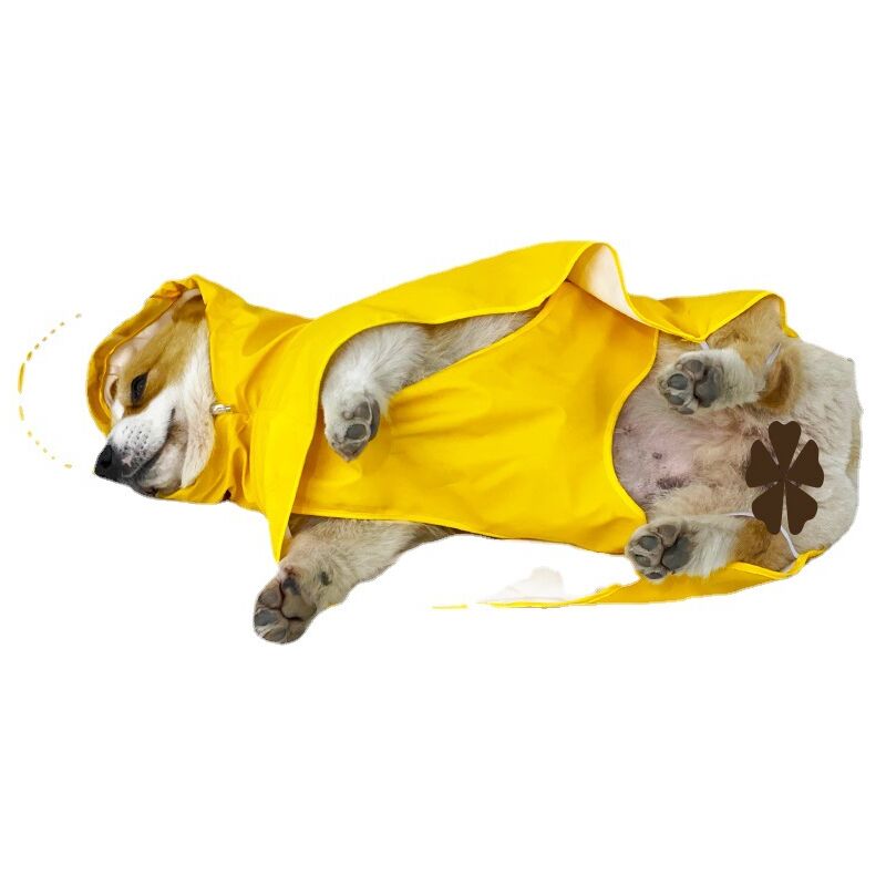foto del prodotto linjou maschera facciale trasparente impermeabile con cappuccio per cani di piccola, media e grande taglia, giallo l