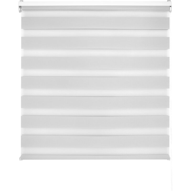 foto del prodotto lira tenda a rullo giorno e notte, colore argento grigio, tenda per interni 140 x 250 cm (larghezza x altezza) dimensioni del tessuto 137 x 245 cm.