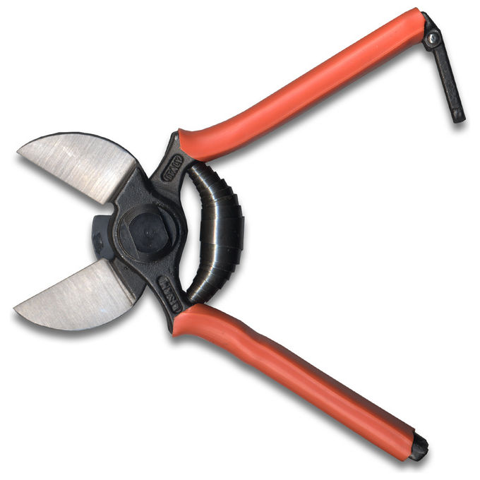foto del prodotto lisam forbice vigna 19cm 1b