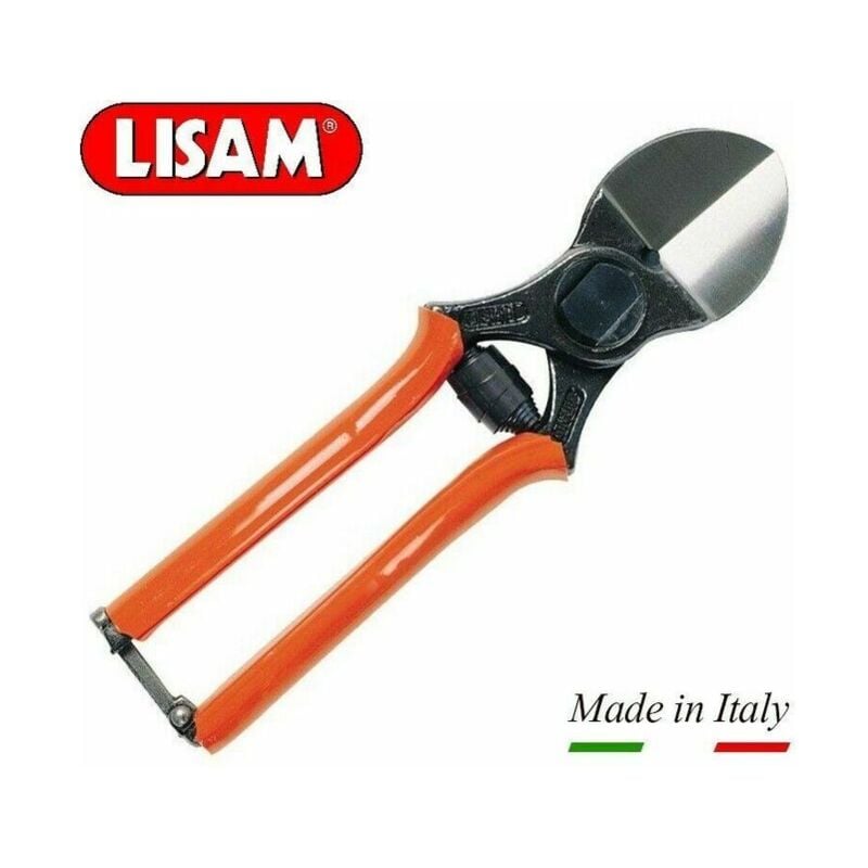 foto del prodotto lisam forbice vigna 21cm 3a