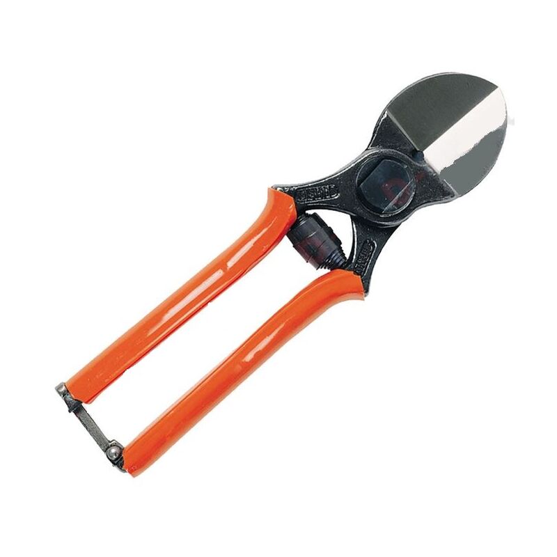 foto del prodotto lisam forbici frutteto cm 19 a doppio taglio, lama in acciaio df 601961
