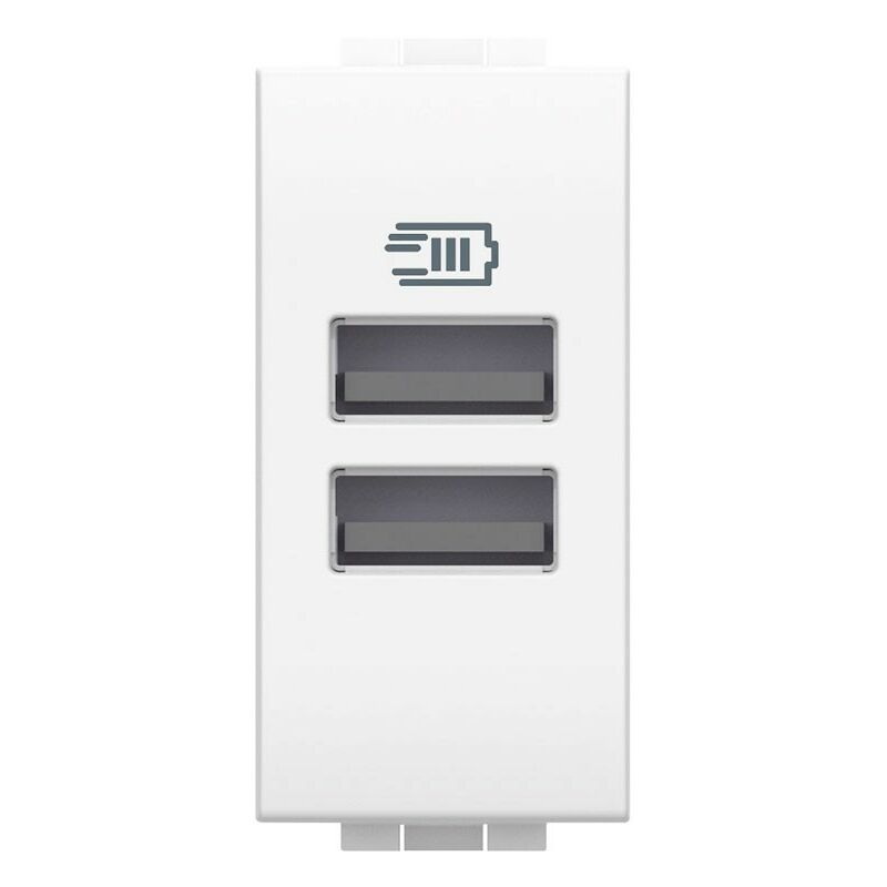foto del prodotto livinglight doppia presa usb tipo a 1 modulo n4191aa bticino