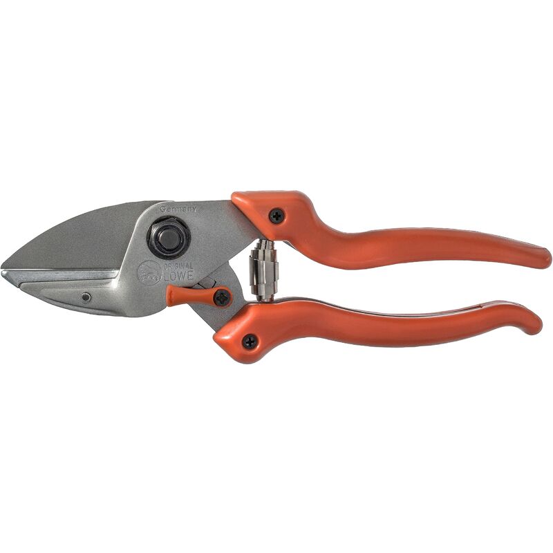 foto del prodotto loewe 6104 forbice 21 cm