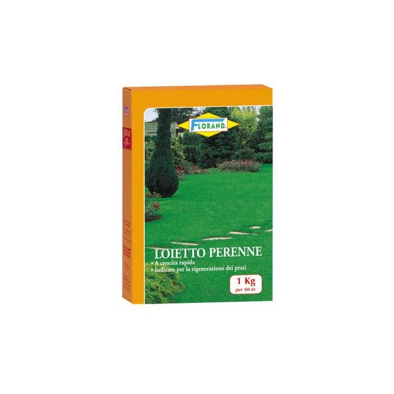 foto del prodotto loietto semenza per prato 1000 g