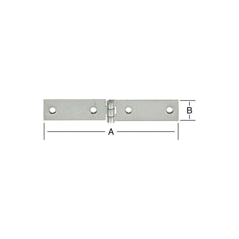 foto del prodotto long kinge 120x20 galva di 100 