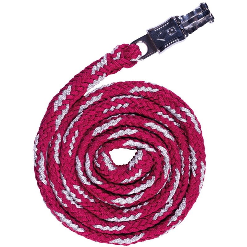 foto del prodotto longhina 180 cm in nylon morbido con moschettone antipanico modello sweet valentine 180 cm, fucsia e argento