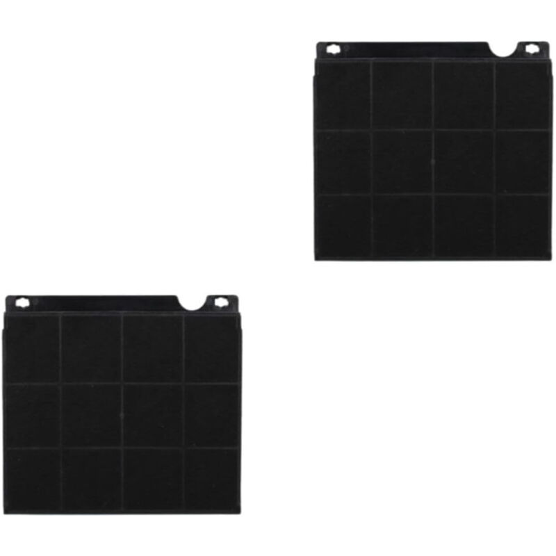 foto del prodotto lotto di due filtri in carbone di tipo 15 originale 230x210x30 mm 9029800456